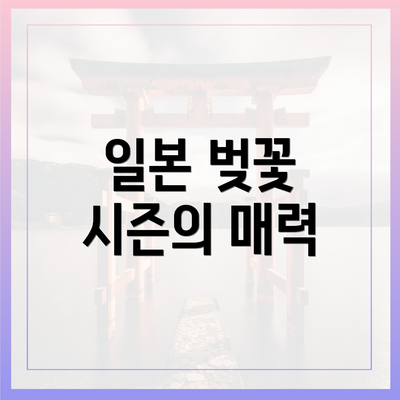 일본 벚꽃 시즌의 매력