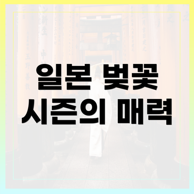 일본 벚꽃 시즌의 매력