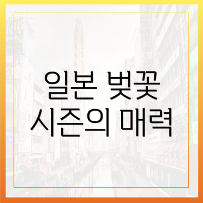 일본 벚꽃 시즌의 매력