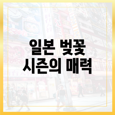 일본 벚꽃 시즌의 매력
