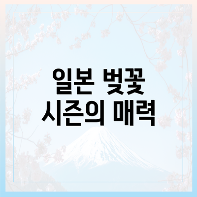 일본 벚꽃 시즌의 매력
