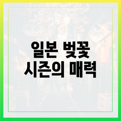 일본 벚꽃 시즌의 매력
