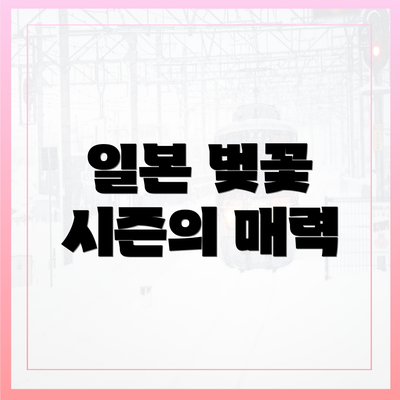 일본 벚꽃 시즌의 매력