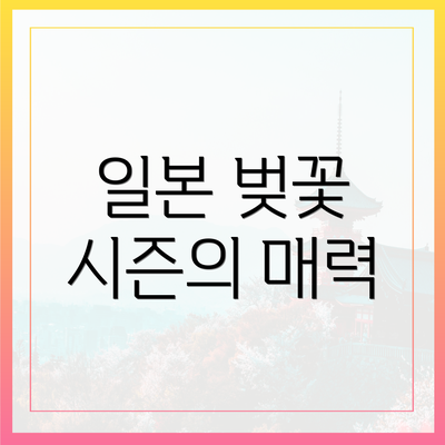 일본 벚꽃 시즌의 매력