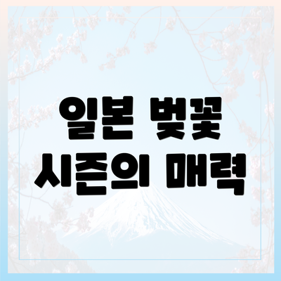 일본 벚꽃 시즌의 매력