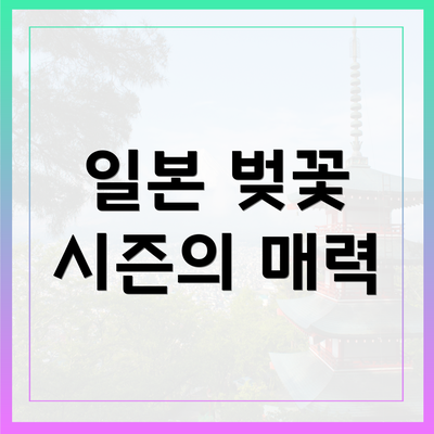 일본 벚꽃 시즌의 매력