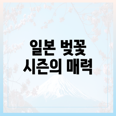 일본 벚꽃 시즌의 매력