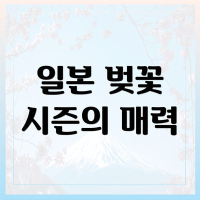 일본 벚꽃 시즌의 매력