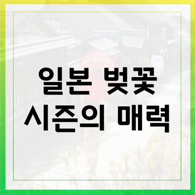 일본 벚꽃 시즌의 매력