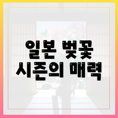일본 벚꽃 시즌의 매력