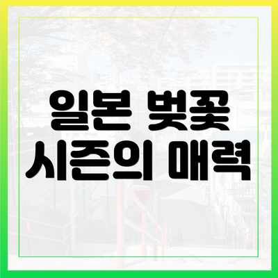 일본 벚꽃 시즌의 매력