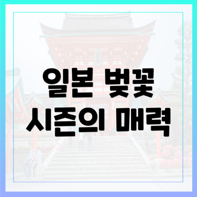 일본 벚꽃 시즌의 매력