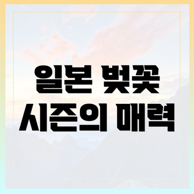 일본 벚꽃 시즌의 매력