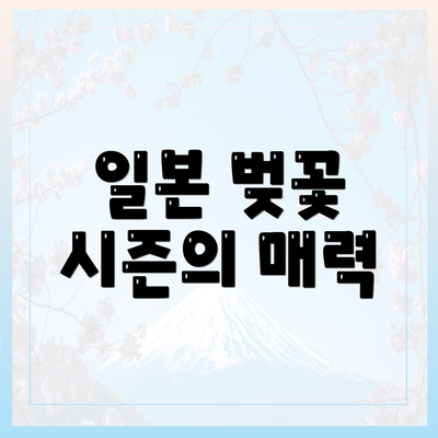 일본 벚꽃 시즌의 매력
