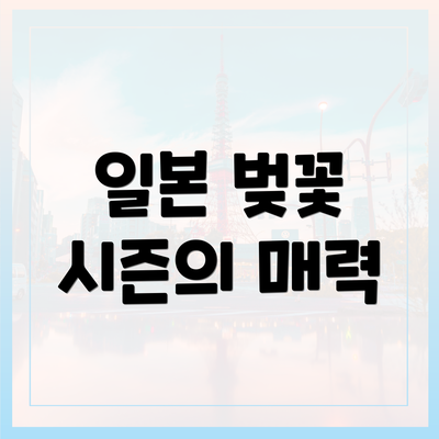 일본 벚꽃 시즌의 매력