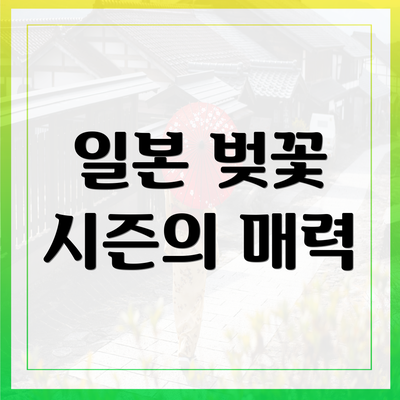 일본 벚꽃 시즌의 매력