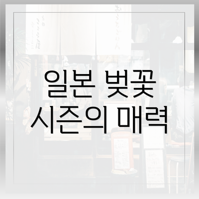 일본 벚꽃 시즌의 매력
