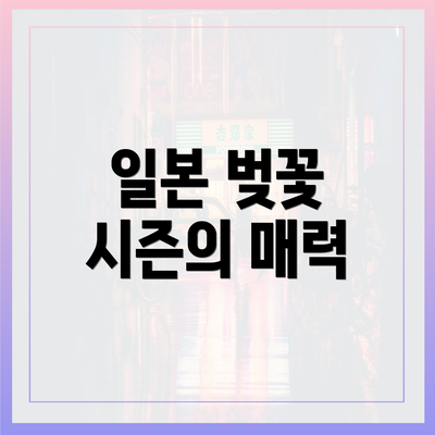 일본 벚꽃 시즌의 매력