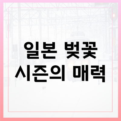 일본 벚꽃 시즌의 매력