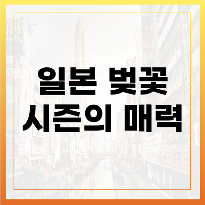 일본 벚꽃 시즌의 매력