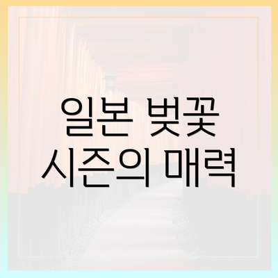일본 벚꽃 시즌의 매력