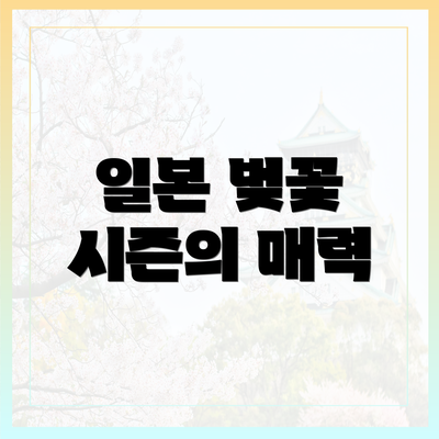 일본 벚꽃 시즌의 매력