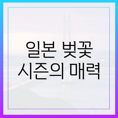 일본 벚꽃 시즌의 매력