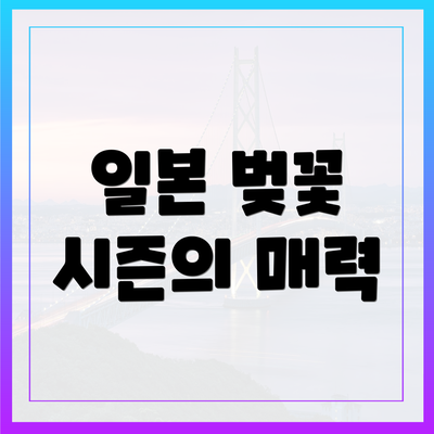 일본 벚꽃 시즌의 매력