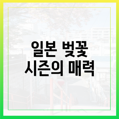 일본 벚꽃 시즌의 매력