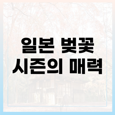 일본 벚꽃 시즌의 매력