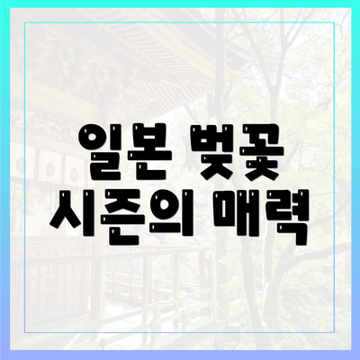일본 벚꽃 시즌의 매력