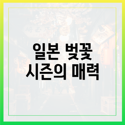 일본 벚꽃 시즌의 매력