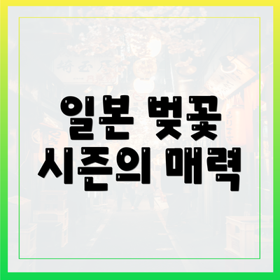 일본 벚꽃 시즌의 매력