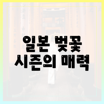 일본 벚꽃 시즌의 매력