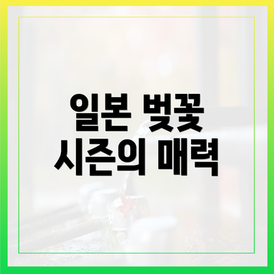 일본 벚꽃 시즌의 매력
