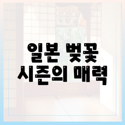일본 벚꽃 시즌의 매력