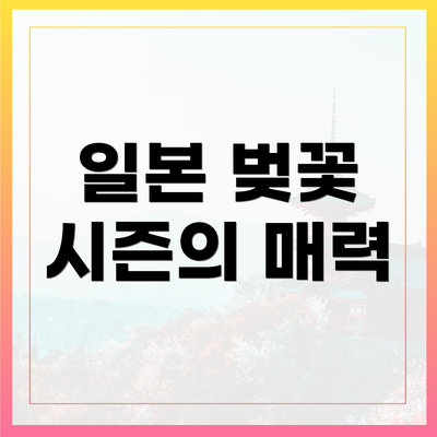 일본 벚꽃 시즌의 매력