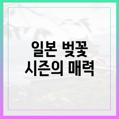 일본 벚꽃 시즌의 매력