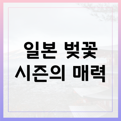 일본 벚꽃 시즌의 매력