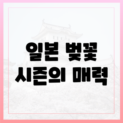 일본 벚꽃 시즌의 매력