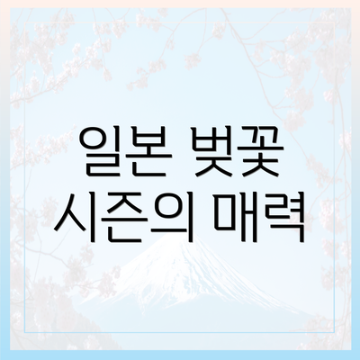 일본 벚꽃 시즌의 매력