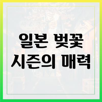 일본 벚꽃 시즌의 매력