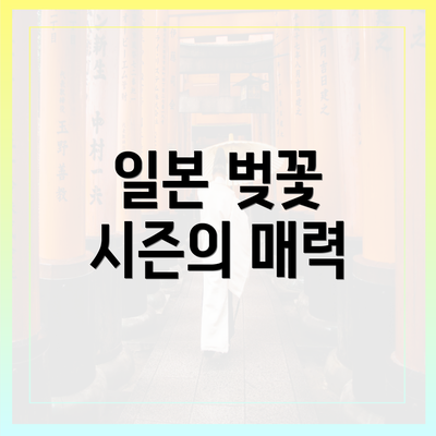 일본 벚꽃 시즌의 매력