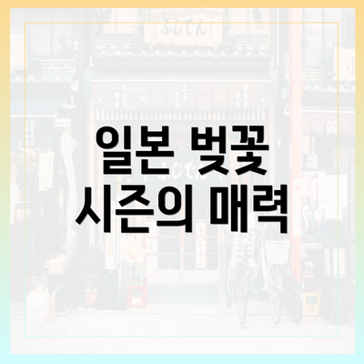 일본 벚꽃 시즌의 매력