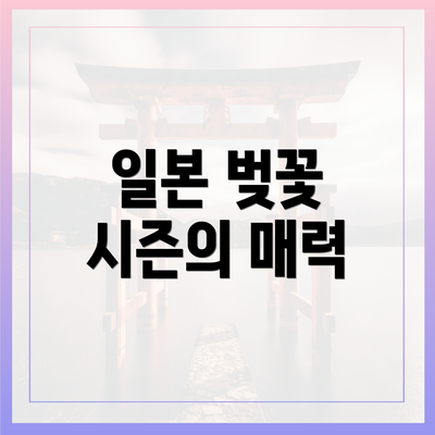 일본 벚꽃 시즌의 매력