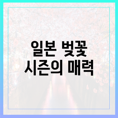 일본 벚꽃 시즌의 매력