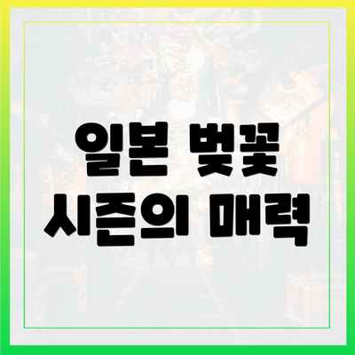 일본 벚꽃 시즌의 매력