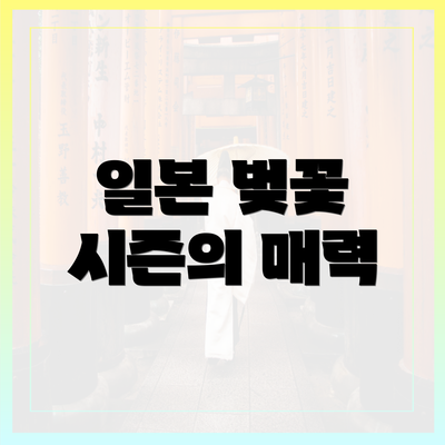 일본 벚꽃 시즌의 매력