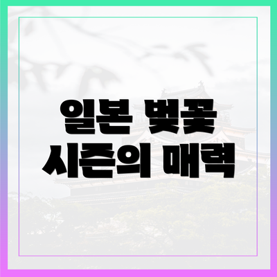 일본 벚꽃 시즌의 매력