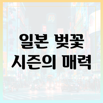 일본 벚꽃 시즌의 매력